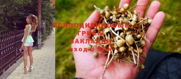 спиды Абдулино